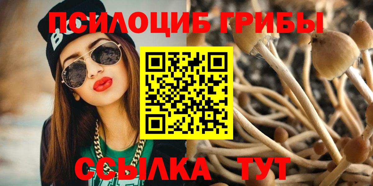 Истра  Псилоцибиновые грибы Psilocybine cubensis  Галлюциногенные грибы мухоморы  Вход с VPN 