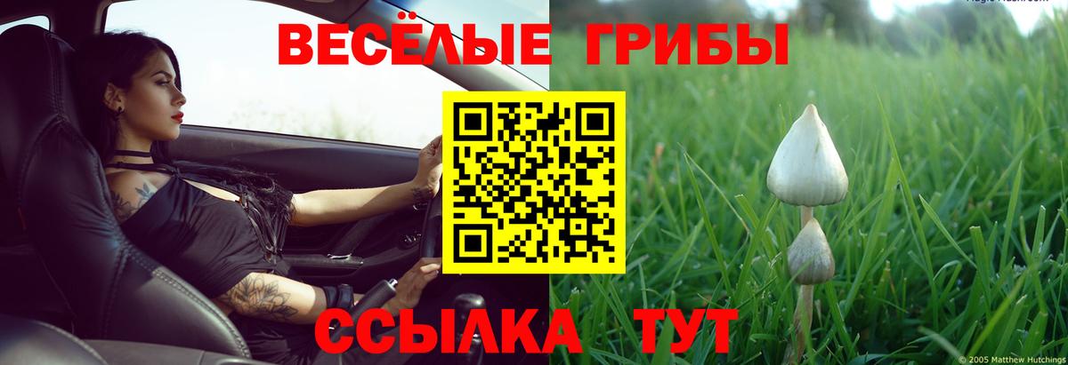 Псилоцибиновые грибы GOLDEN TEACHER Истра